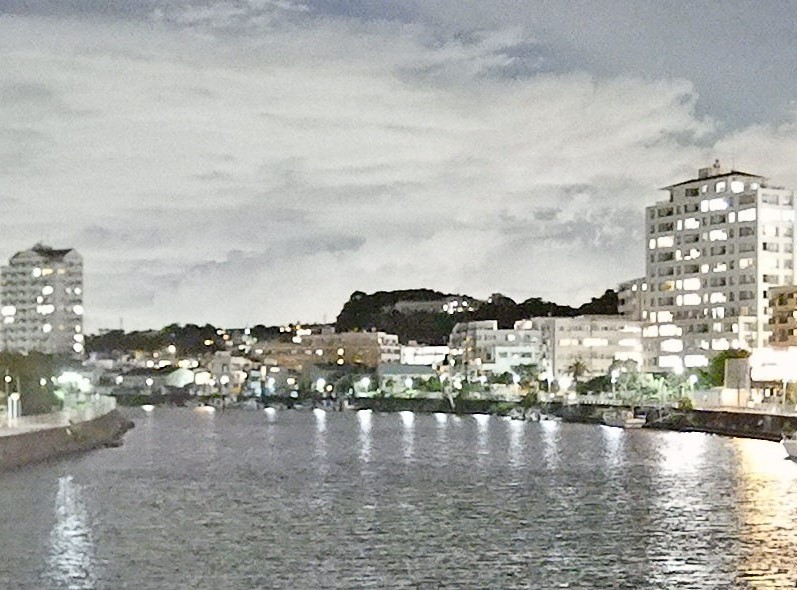 【暗視スコープ】フルカラーナイトビジョン サイオニクス オーロラプロ（SIONYX AURORA PRO）