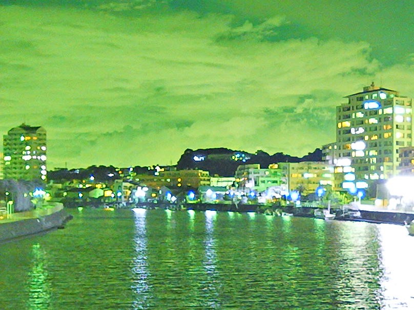 【暗視スコープ】フルカラーナイトビジョン サイオニクス オーロラプロ（SIONYX AURORA PRO）