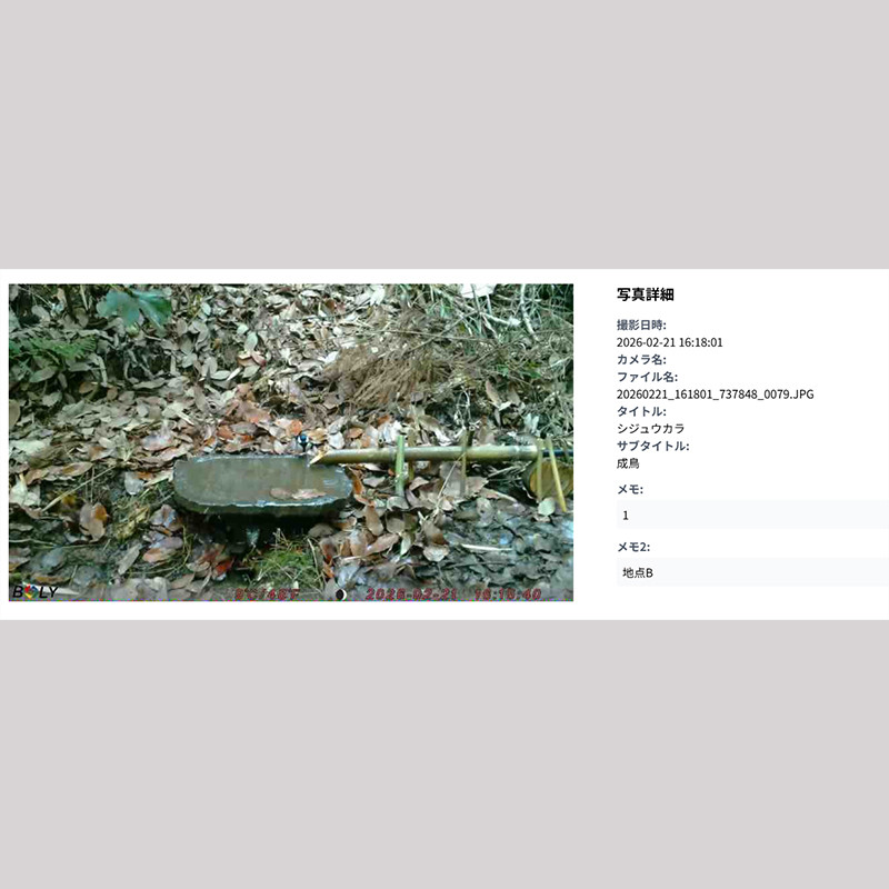 Fieldlive2 管理画面イメージ