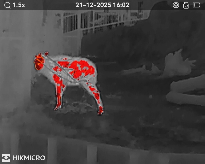 サーマル単眼スコープ LYNX LE10S