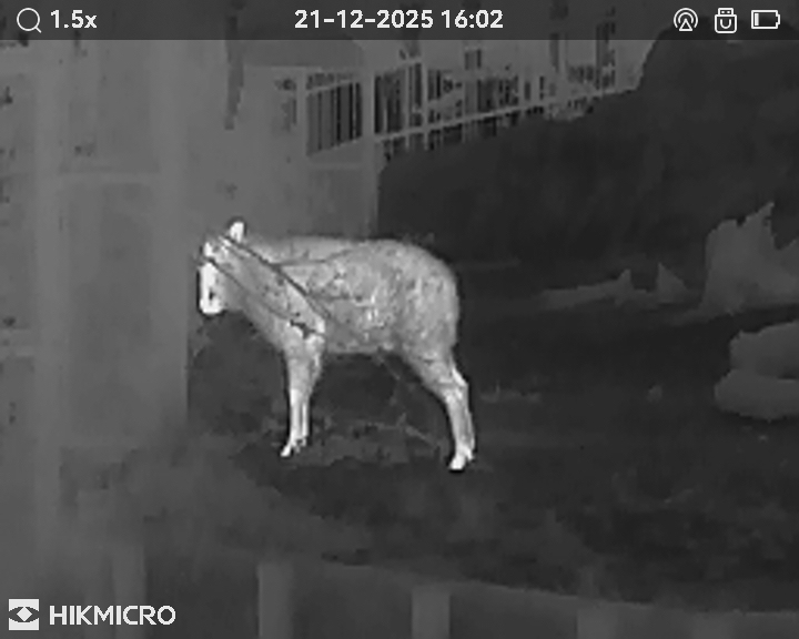 サーマル単眼スコープ LYNX LE10S