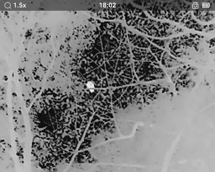 サーマル単眼スコープ LYNX LE10S