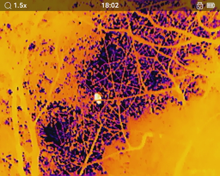 サーマル単眼スコープ LYNX LE10S