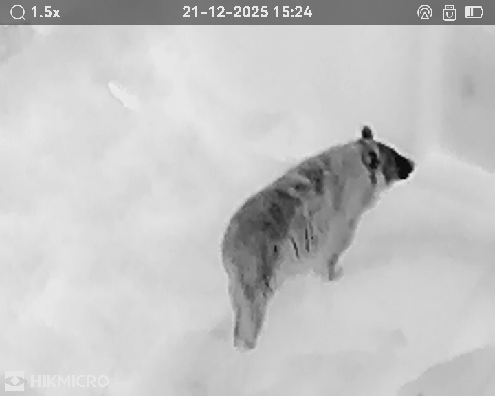 サーマル単眼スコープ LYNX LE10S