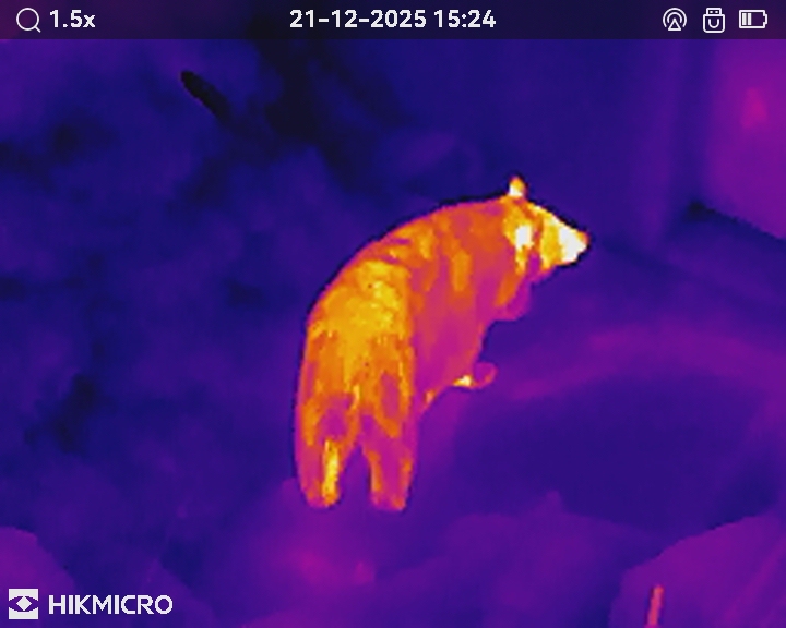 サーマル単眼スコープ LYNX LE10S