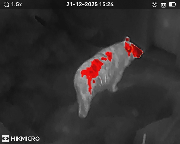 サーマル単眼スコープ LYNX LE10S