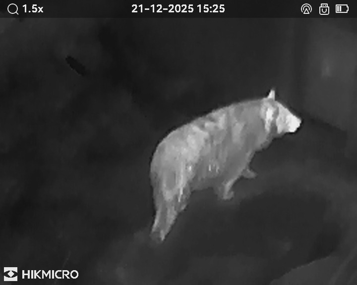 サーマル単眼スコープ LYNX LE10S