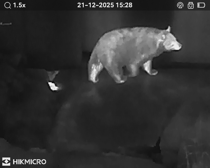 サーマル単眼スコープ LYNX LE10S