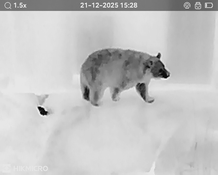 サーマル単眼スコープ LYNX LE10S