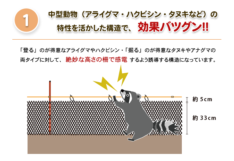 楽落くんガラガー三つの理由
