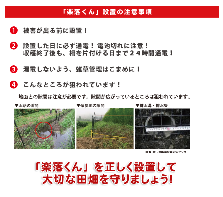 楽落くんガラガー三つの理由