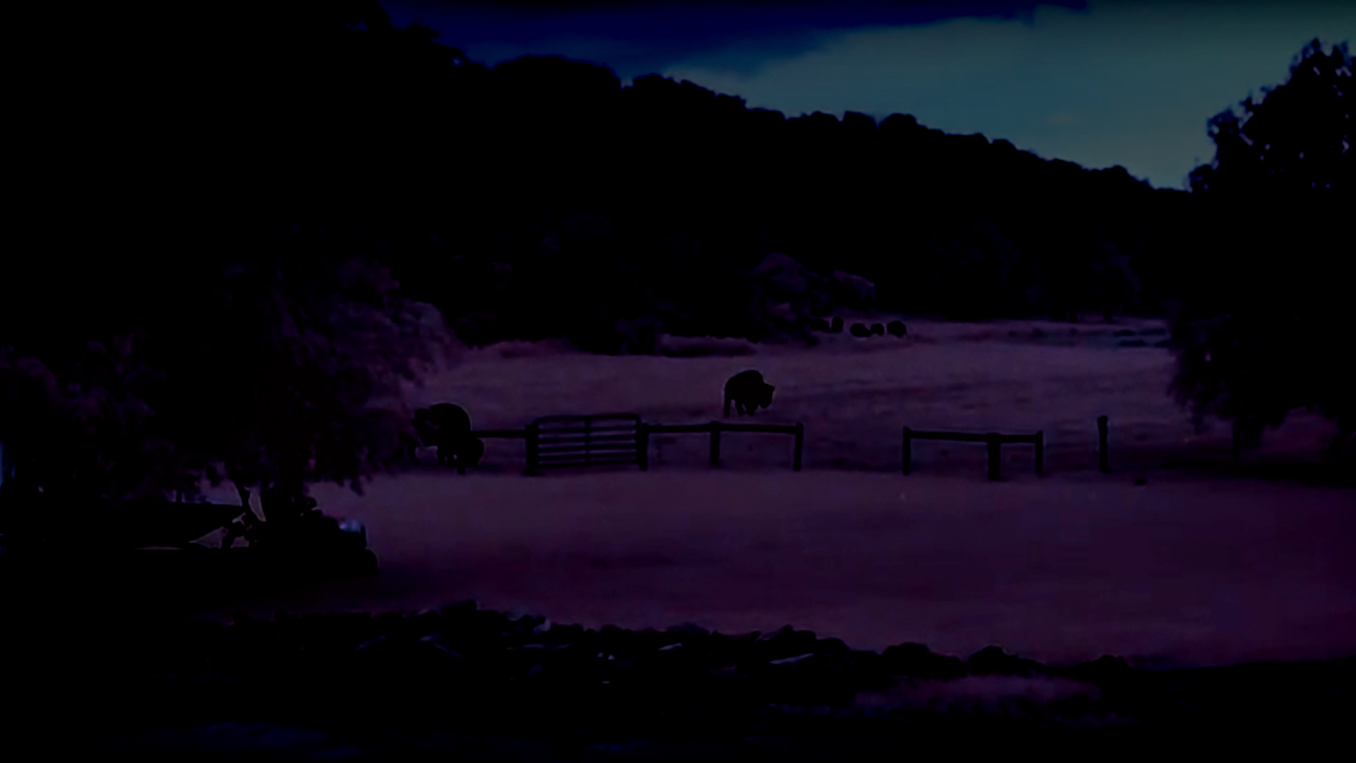 【暗視スコープ】フルカラーナイトビジョン サイオニクス オーロラプロ（SIONYX AURORA PRO）