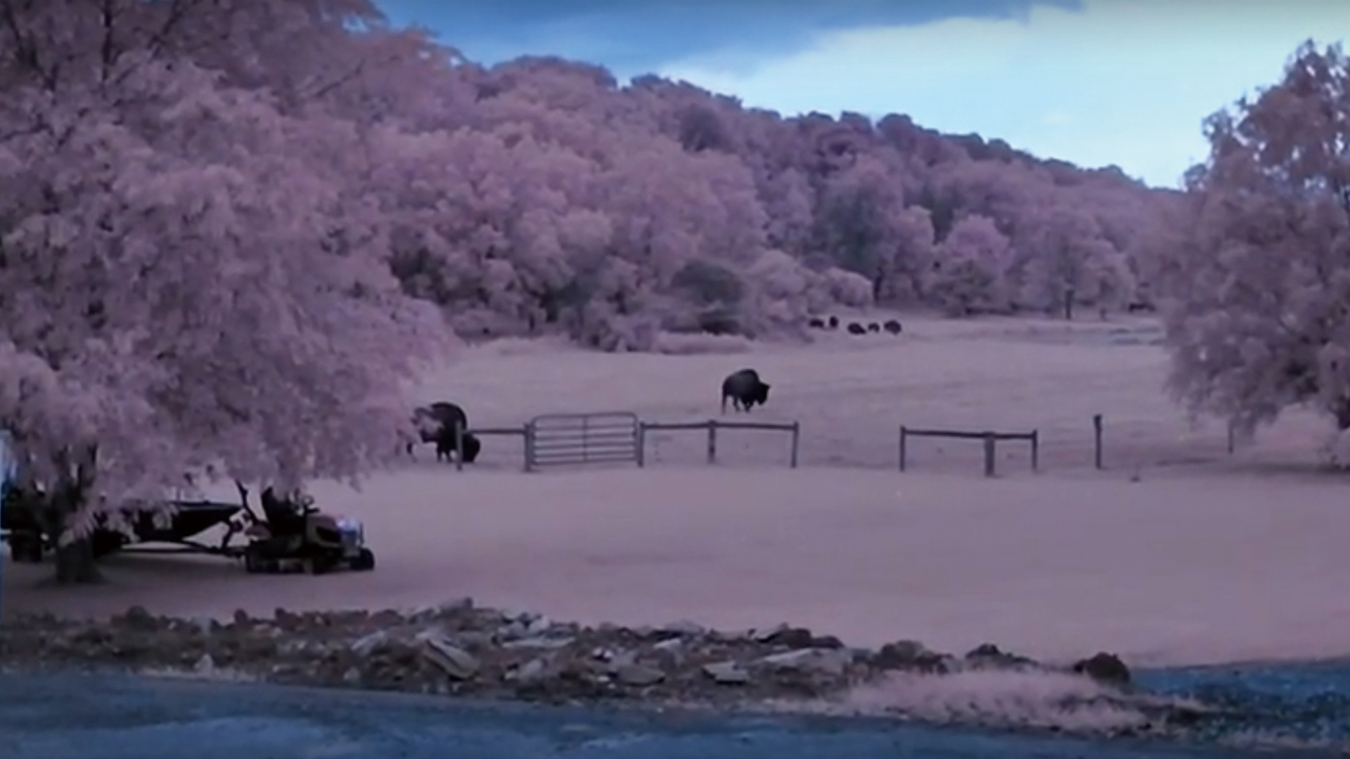 【暗視スコープ】フルカラーナイトビジョン サイオニクス オーロラプロ（SIONYX AURORA PRO）