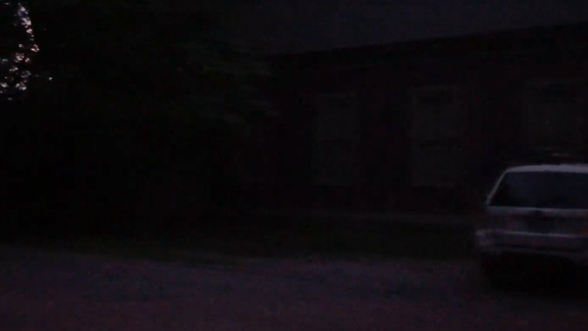 【暗視スコープ】フルカラーナイトビジョン サイオニクス オーロラプロ（SIONYX AURORA PRO）