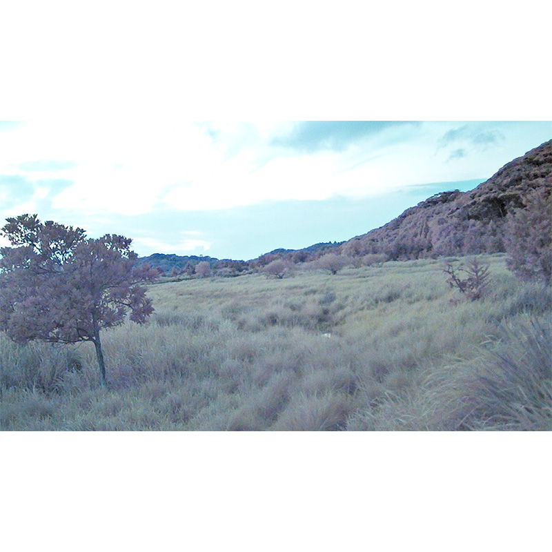 【暗視スコープ】フルカラーナイトビジョン サイオニクス オーロラプロ（SIONYX AURORA PRO）