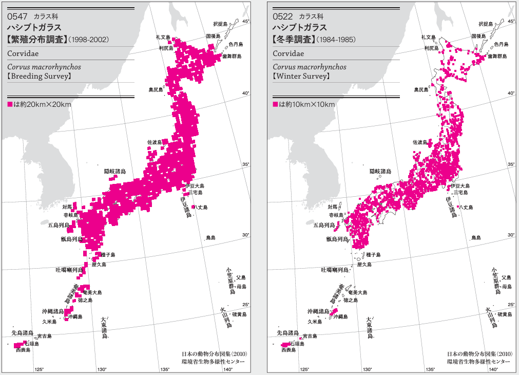 ハシブトガラス分布図