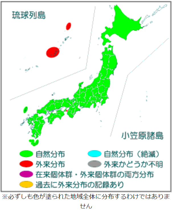 シカ分布図