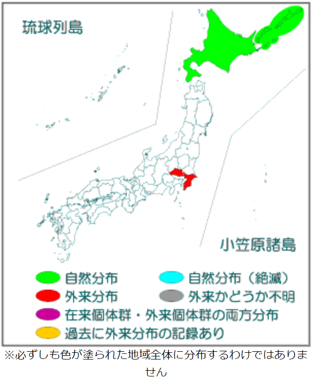 キタキツネ分布図