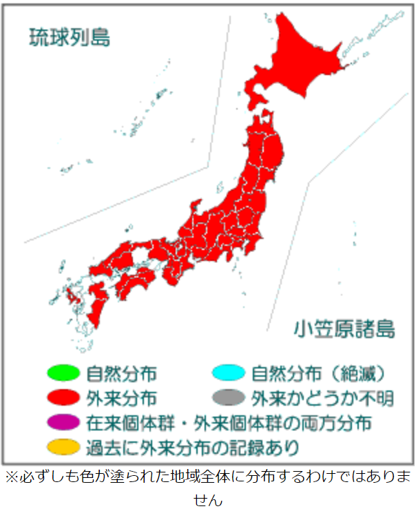 ハクビシン分布図