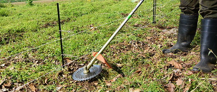 漏電防止のために、定期的に草刈りを行う