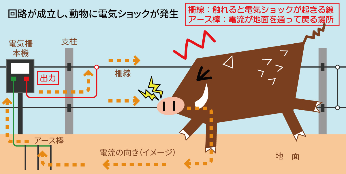 電気柵について