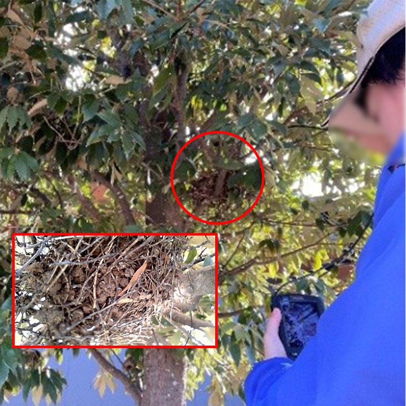 携帯型工業用内視鏡】レーザーライナー ビデオポケットHD（Laserliner VIDEO POCKET HD）