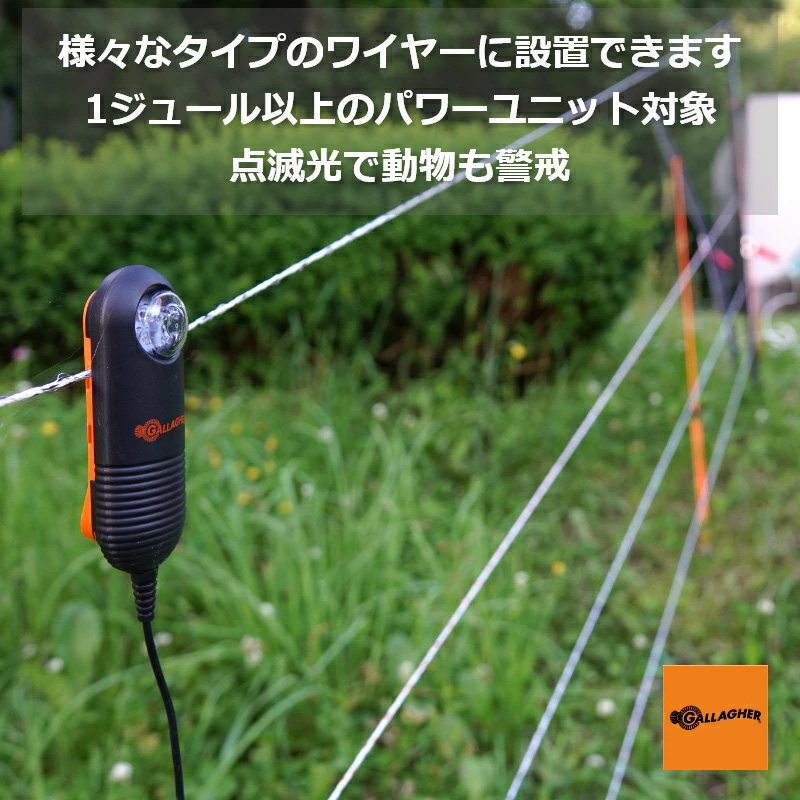 ライブライト(LED)