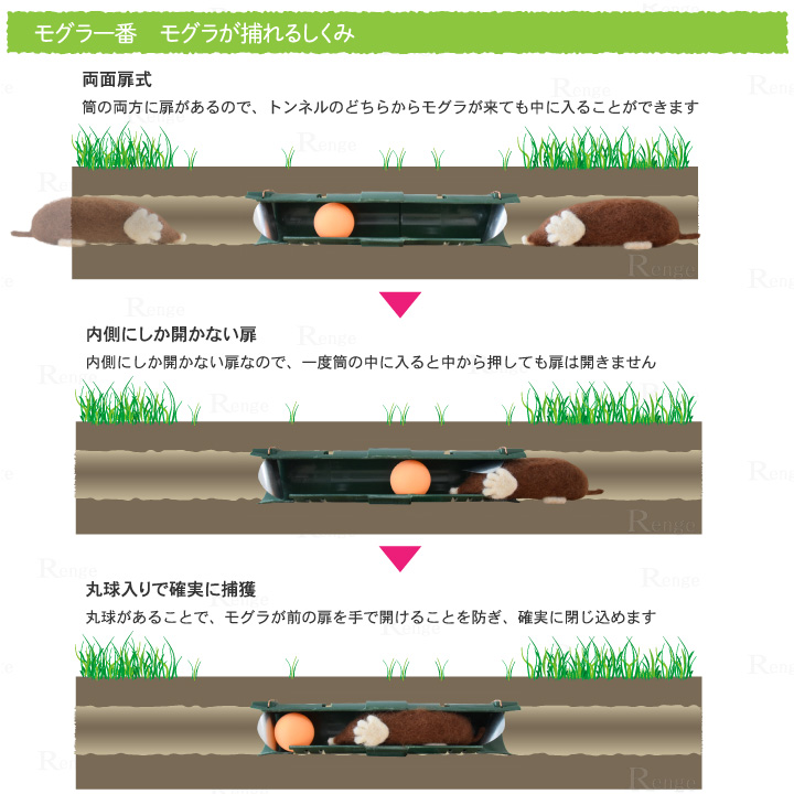 モグラ一番　捕れる仕組み