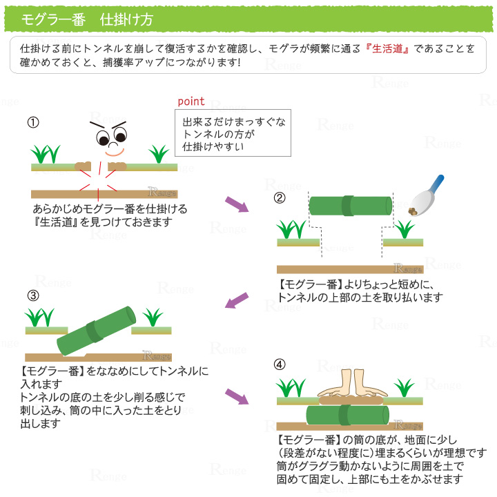 モグラ一番　仕掛け方