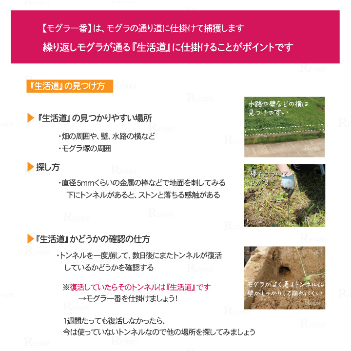 モグラ一番　生活道の見つけ方