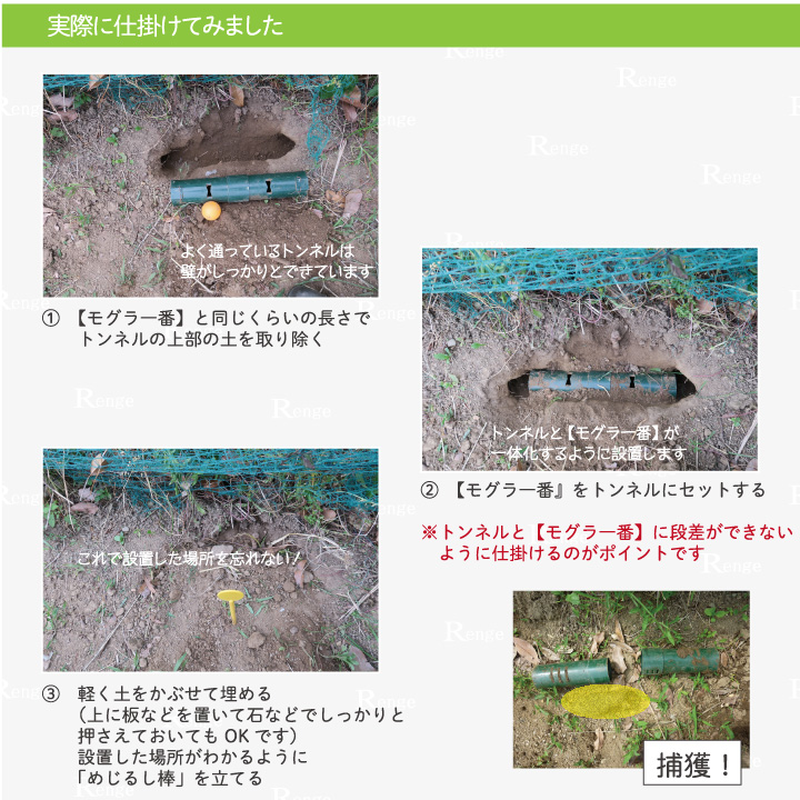 モグラ一番　仕掛けてみました