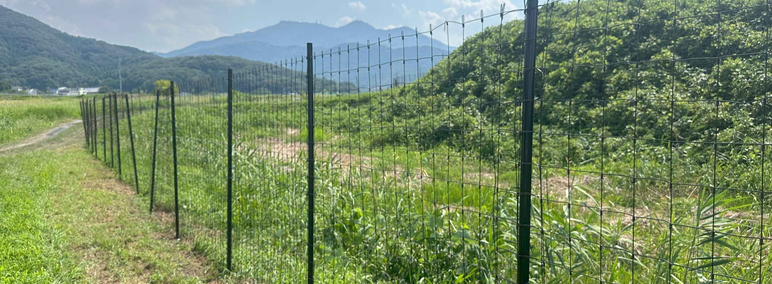 パタサクメイン画像