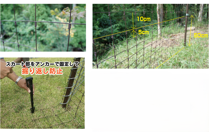 パタサクメイン画像