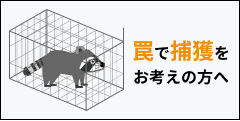 罠で捕獲をお考えの方へ