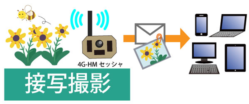 TREL(トレル) 4G-H メール送信イメージ