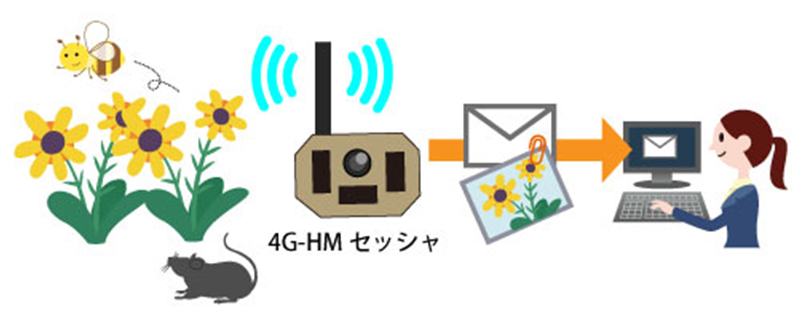 TREL(トレル) 4G-H 遠隔操作イメージ