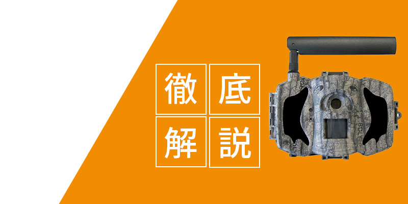 トレイルカメラトップ