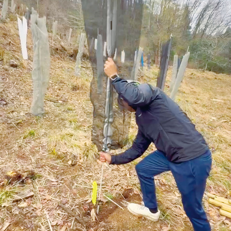 ソダチーナ手順1