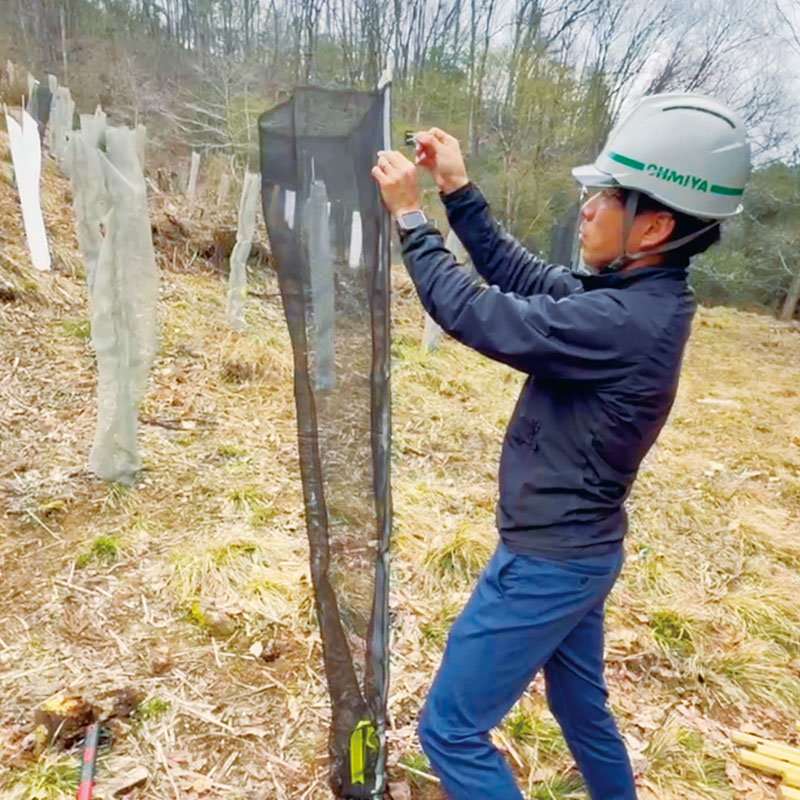 ソダチーナ手順3