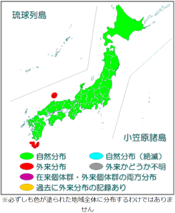 タヌキ分布図