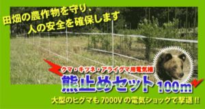 熊止めセット用 延長100mセット