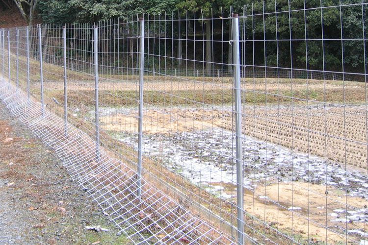 金属柵・ワイヤーメッシュ柵 | 鳥獣被害対策ドットコム