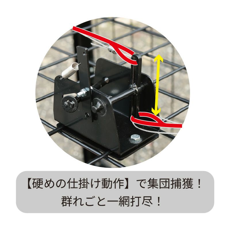 【協和リクレイム】イノシシ・シカ用箱わな NBシリーズ