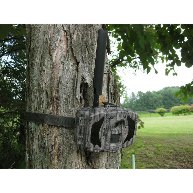 TREL(トレル) 4G-HM セッシャ（接写カメラ）トレイルカメラ（センサーカメラ）