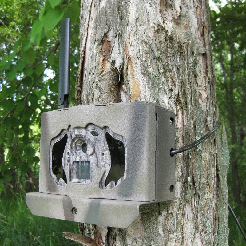 TREL(トレル) 4G-HM セッシャ（接写カメラ）トレイルカメラ（センサーカメラ）