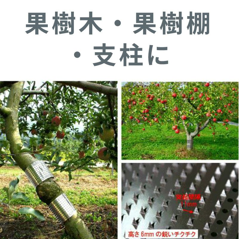 有刺鉄板（10枚入り）